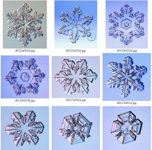 Detail Snowflakes Under A Microscope Pictures Nomer 14