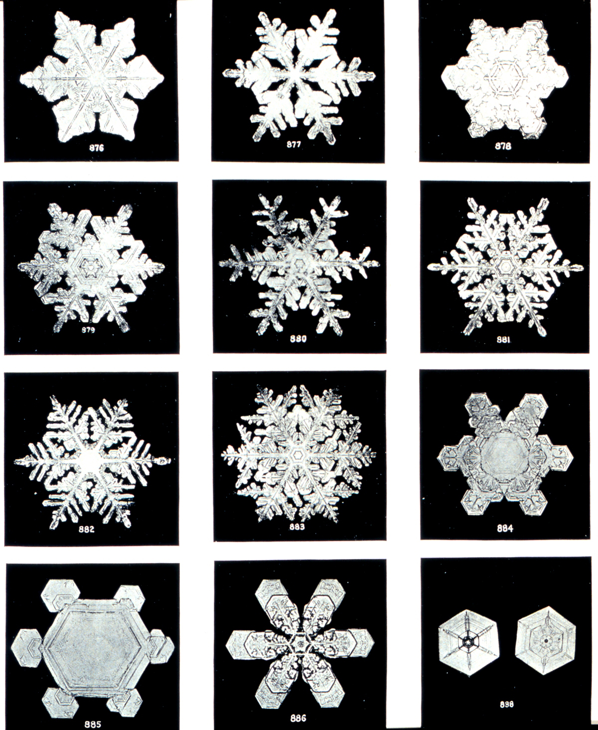 Detail Snowflakes Under A Microscope Pictures Nomer 17