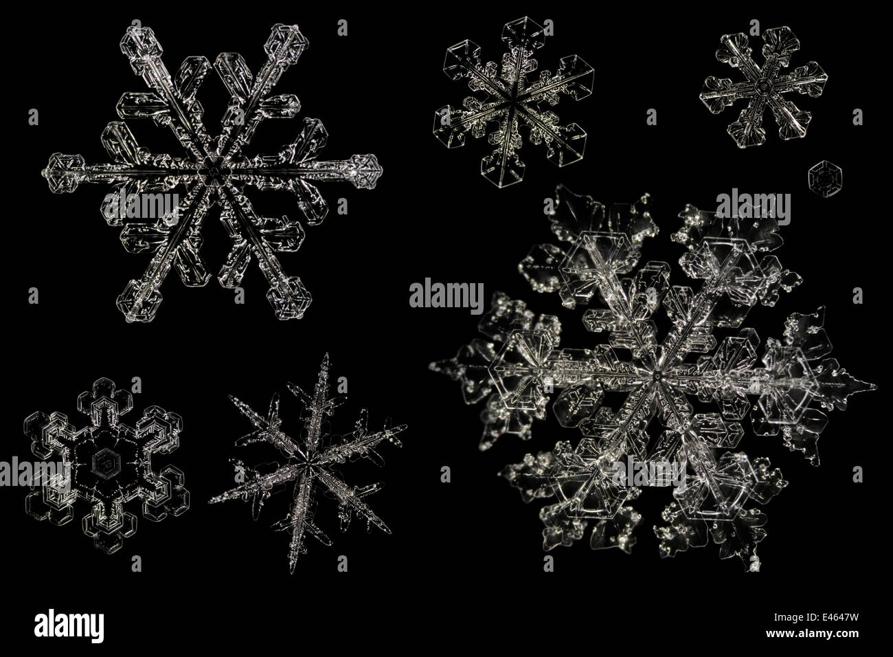 Detail Snowflakes Under A Microscope Pictures Nomer 24