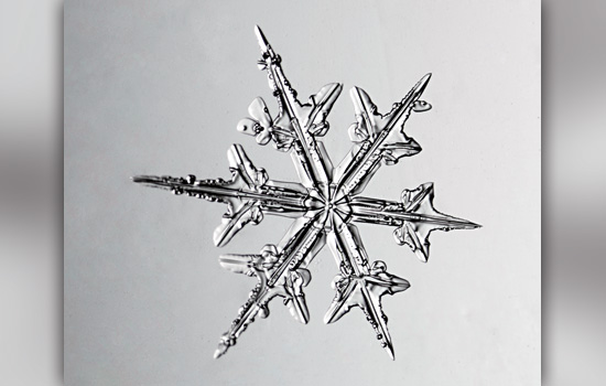 Detail Snowflakes Under A Microscope Pictures Nomer 25