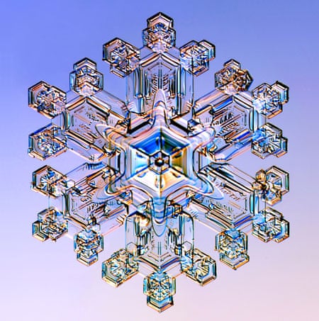 Detail Snowflakes Under A Microscope Pictures Nomer 28