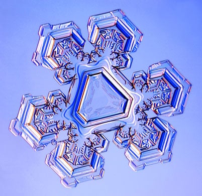 Detail Snowflakes Under A Microscope Pictures Nomer 4