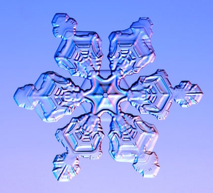 Download Snowflakes Under A Microscope Pictures Nomer 31