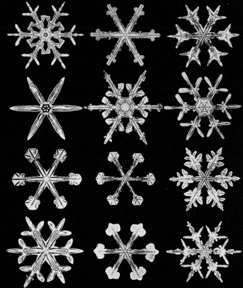 Detail Snowflakes Under A Microscope Pictures Nomer 32