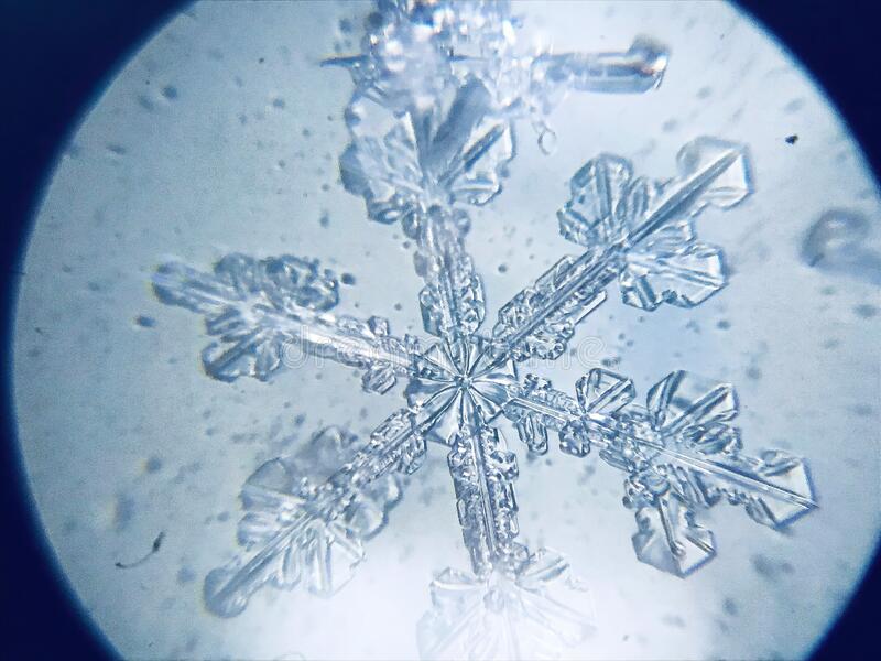 Detail Snowflakes Under A Microscope Pictures Nomer 35