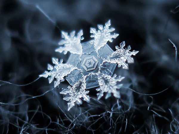 Detail Snowflakes Under A Microscope Pictures Nomer 36