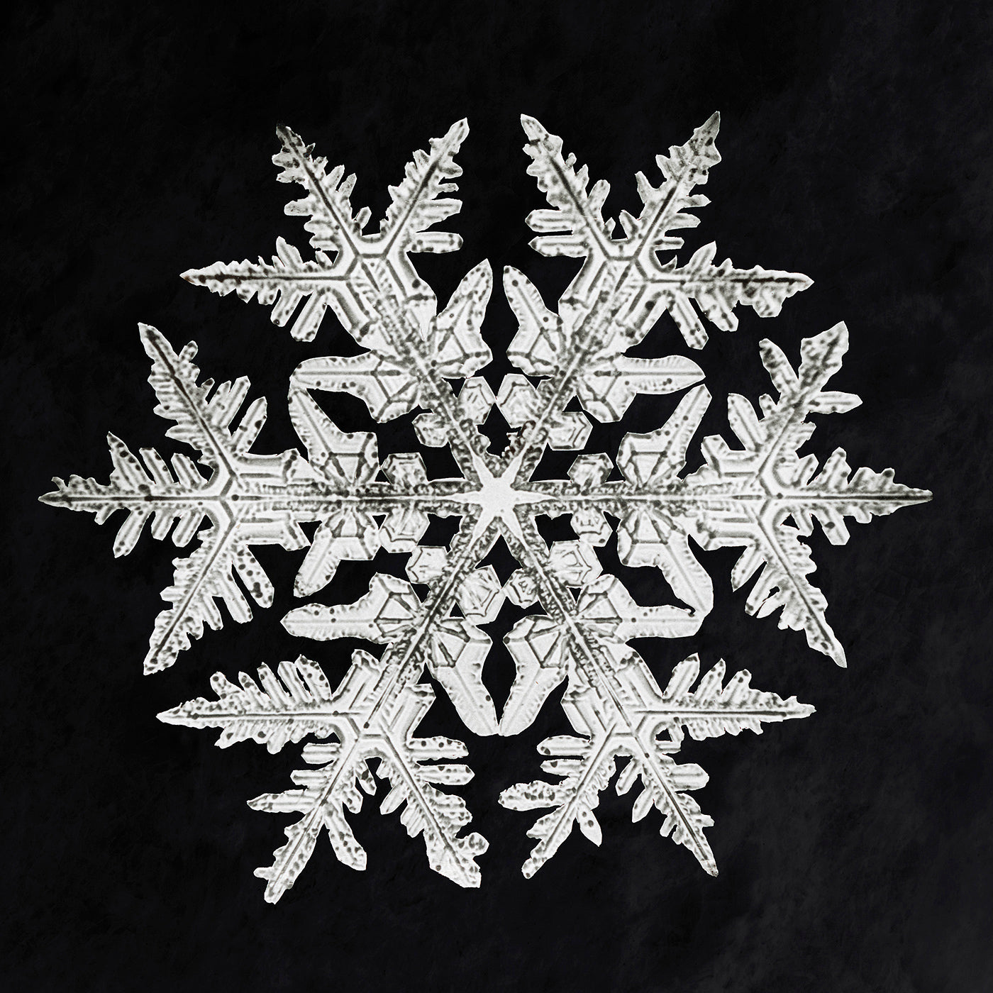 Detail Snowflakes Under A Microscope Pictures Nomer 38