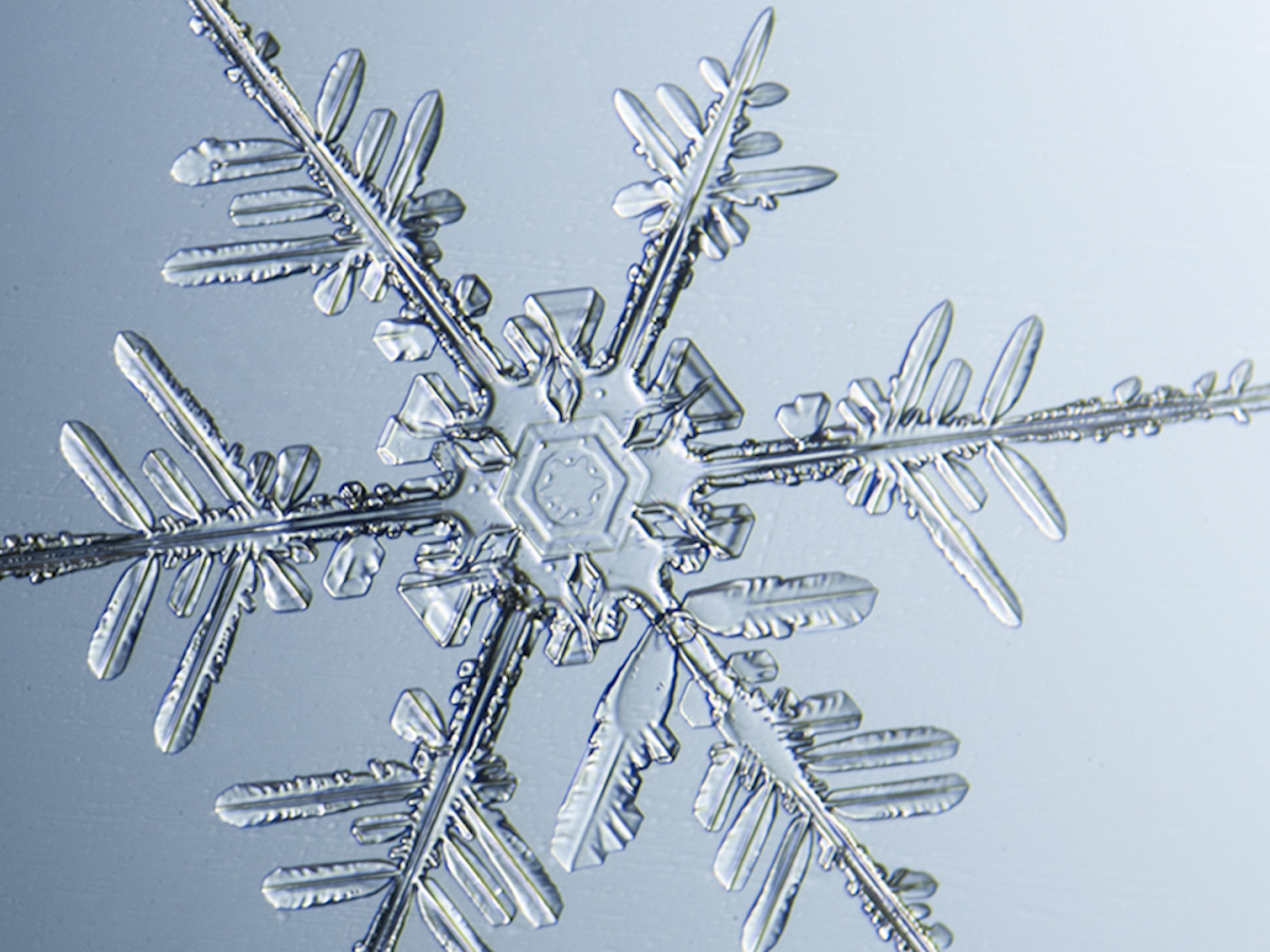 Detail Snowflakes Under A Microscope Pictures Nomer 40