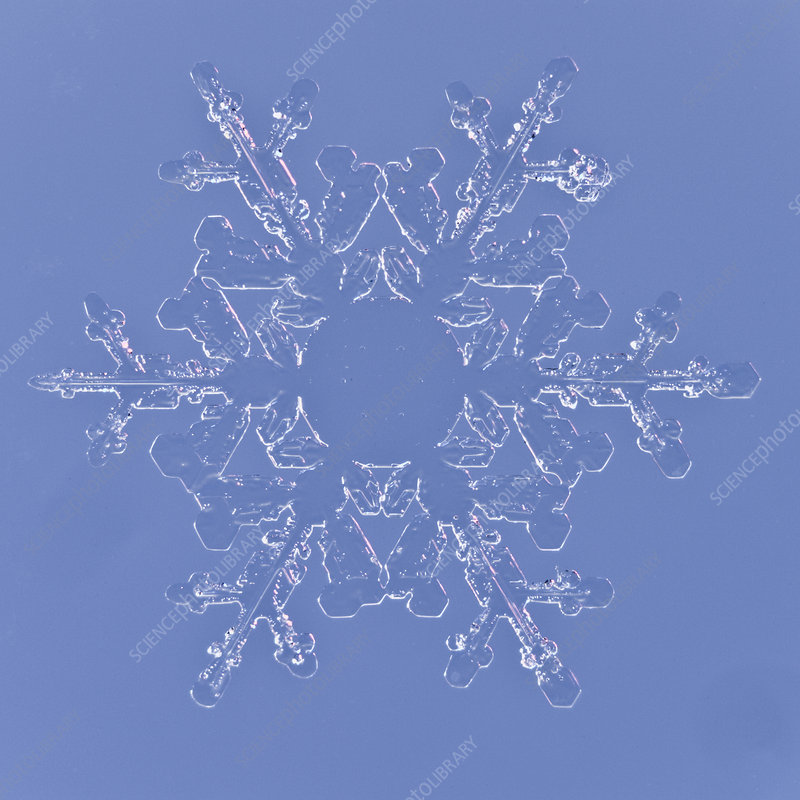 Detail Snowflakes Under A Microscope Pictures Nomer 50