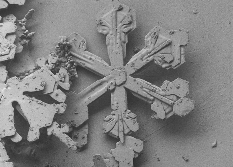 Download Snowflakes Under A Microscope Pictures Nomer 51