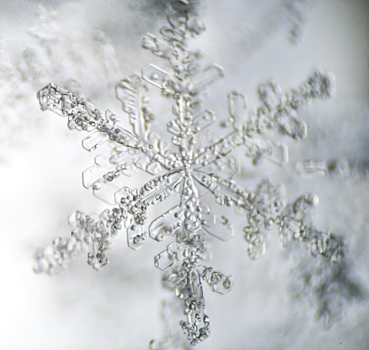 Detail Snowflakes Under A Microscope Pictures Nomer 56