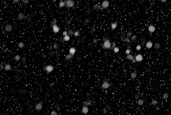 Detail Snowing Png Nomer 39