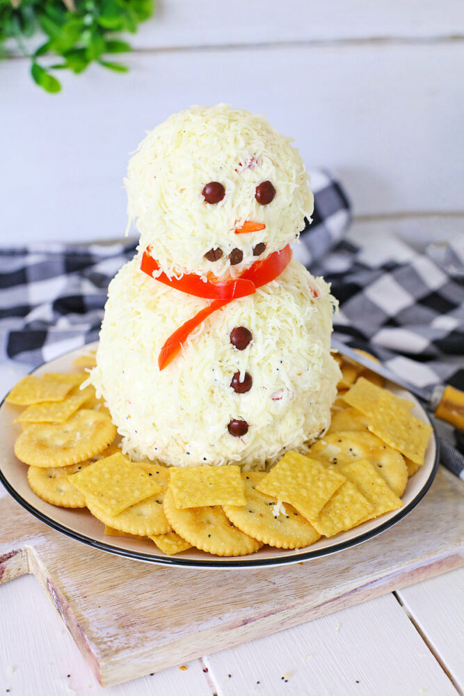 Detail Snowman Cheese Ball Pinterest Nomer 20