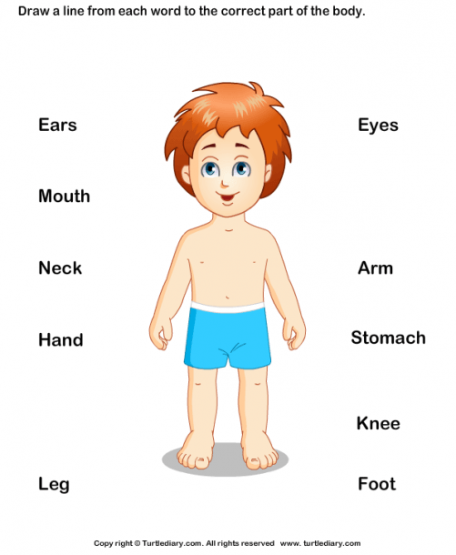 Detail Soal Bahasa Inggris Tk Bergambar Nomer 19