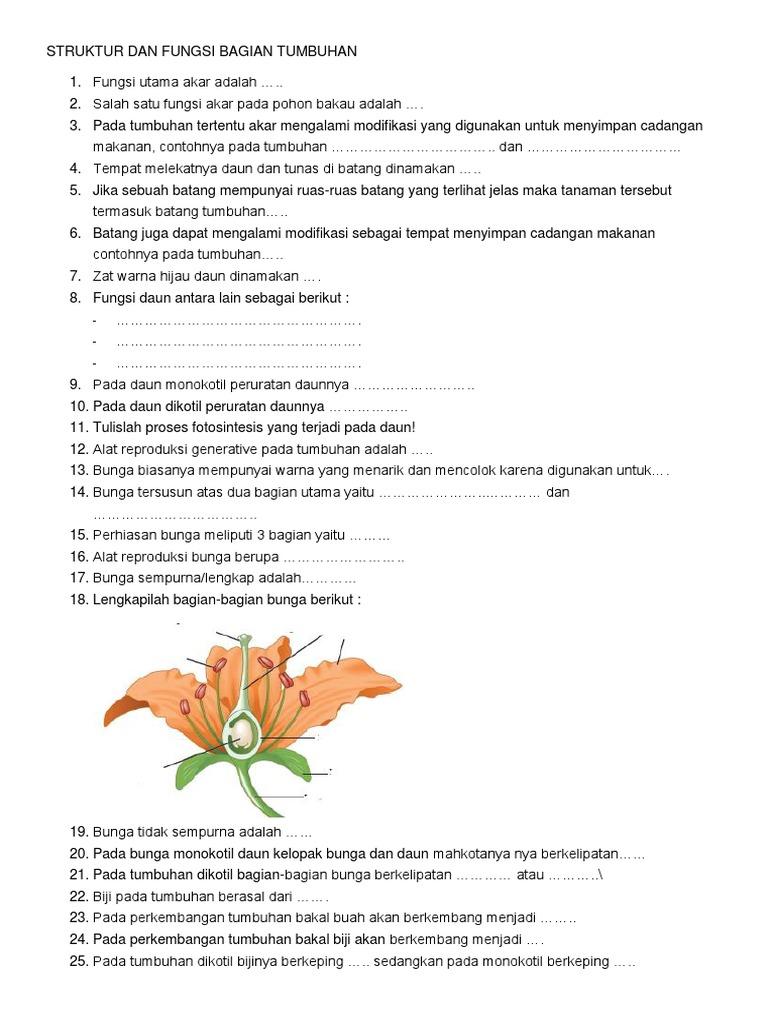 Detail Soal Gambar Bunga Sempurna Nomer 6