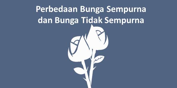 Detail Soal Gambar Bunga Sempurna Nomer 49