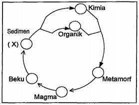 Detail Soal Gambar Siklus Batuan Nomer 14