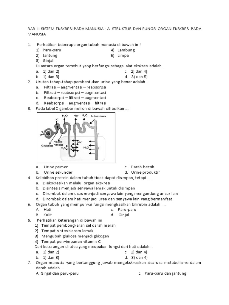 Detail Soal Sma Gambar Ekskresi Nomer 18