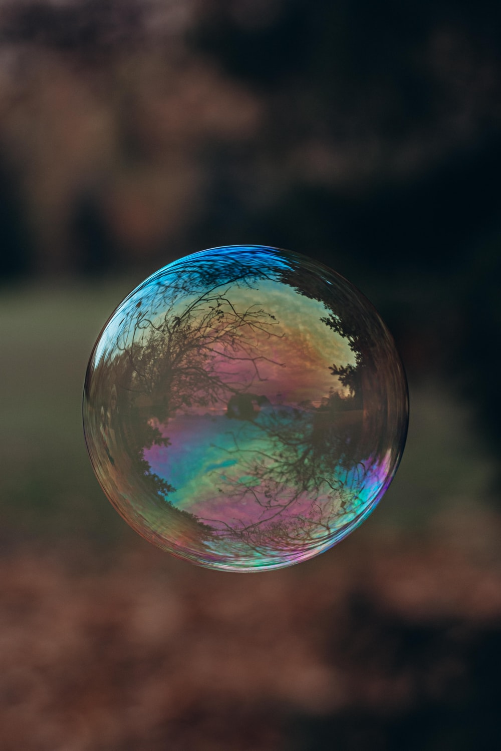 Detail Soap Bubble Image Nomer 43