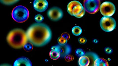 Detail Soap Bubble Image Nomer 54