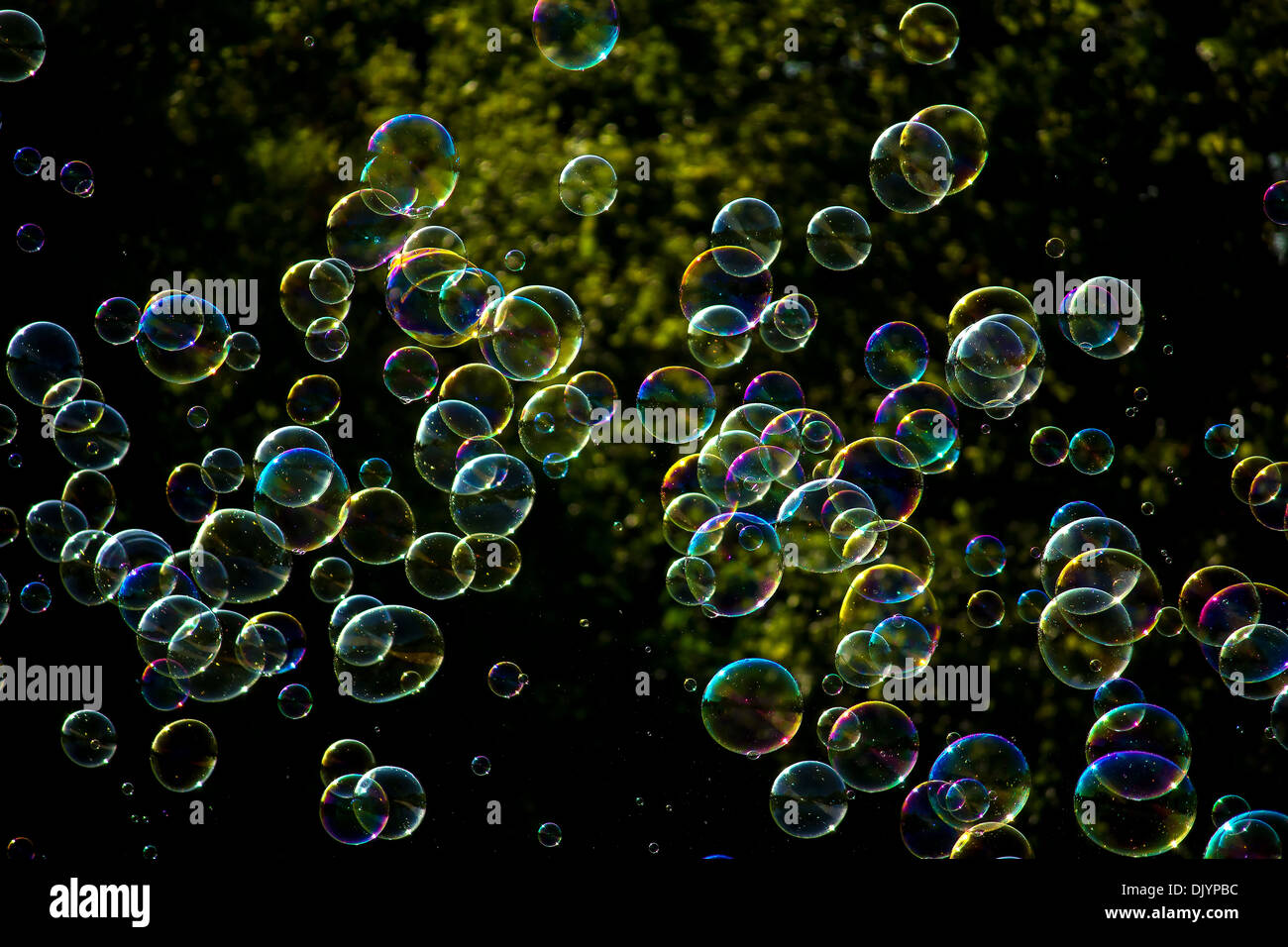 Detail Soap Bubbles Image Nomer 48