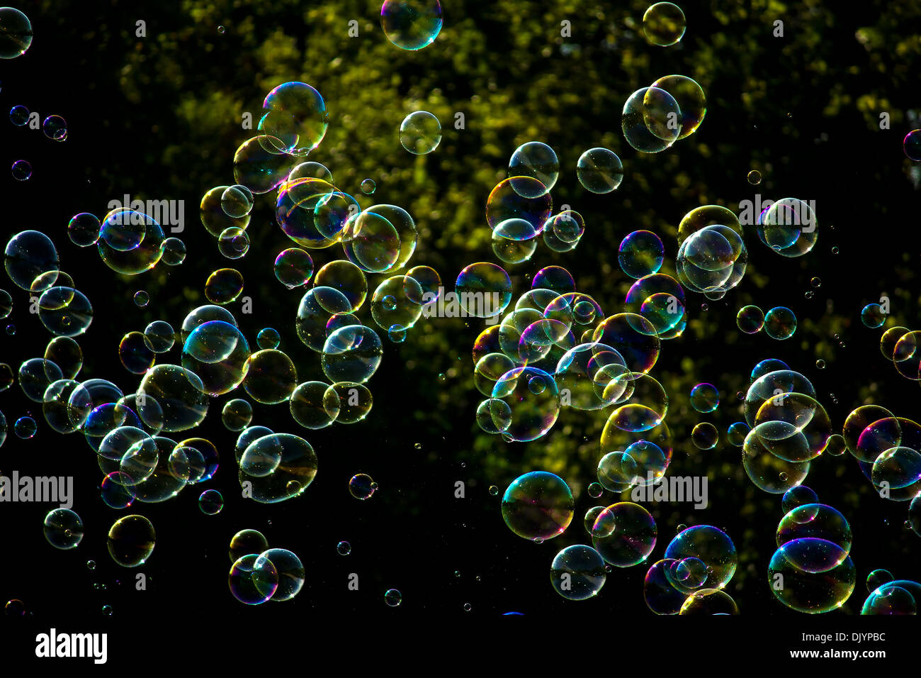 Detail Soap Bubbles Images Nomer 46