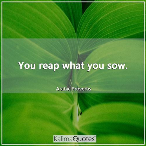 Detail You Reap What You Sow Quotes Nomer 14