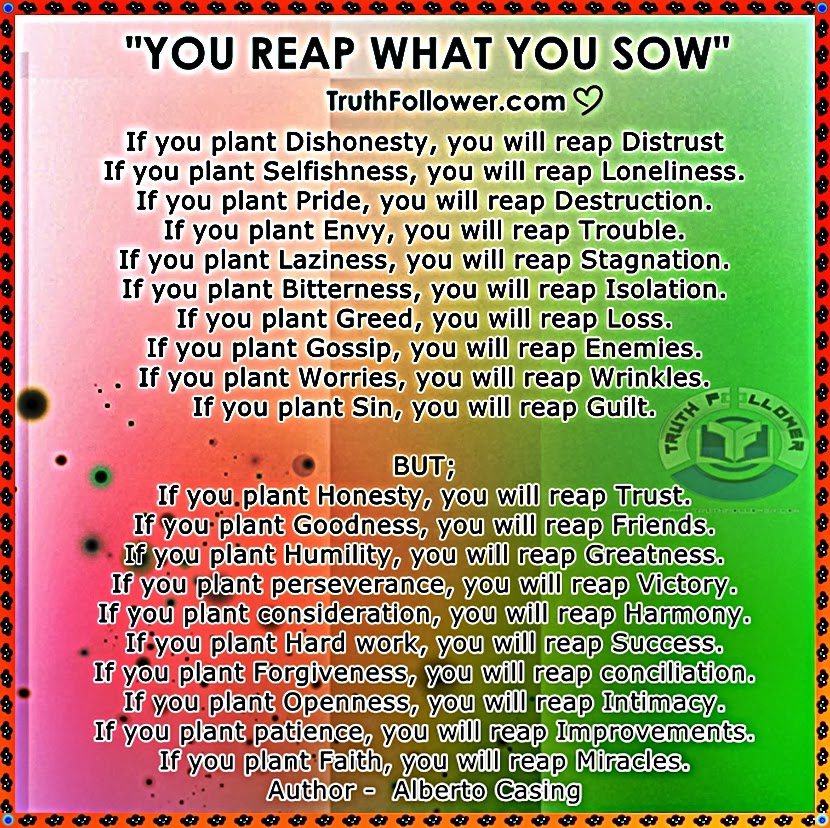 Detail You Reap What You Sow Quotes Nomer 21