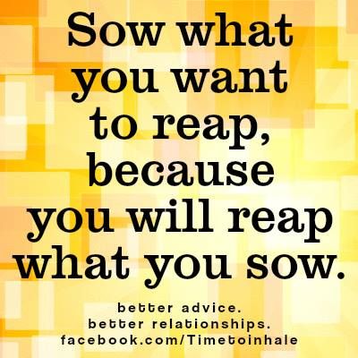 Detail You Reap What You Sow Quotes Nomer 39