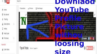 Detail Youtube Dp Downloader Nomer 20