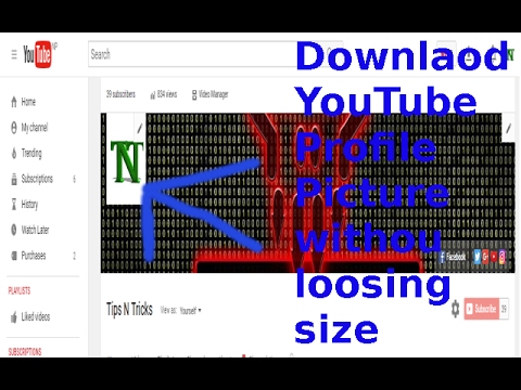 Detail Youtube Dp Downloader Nomer 3