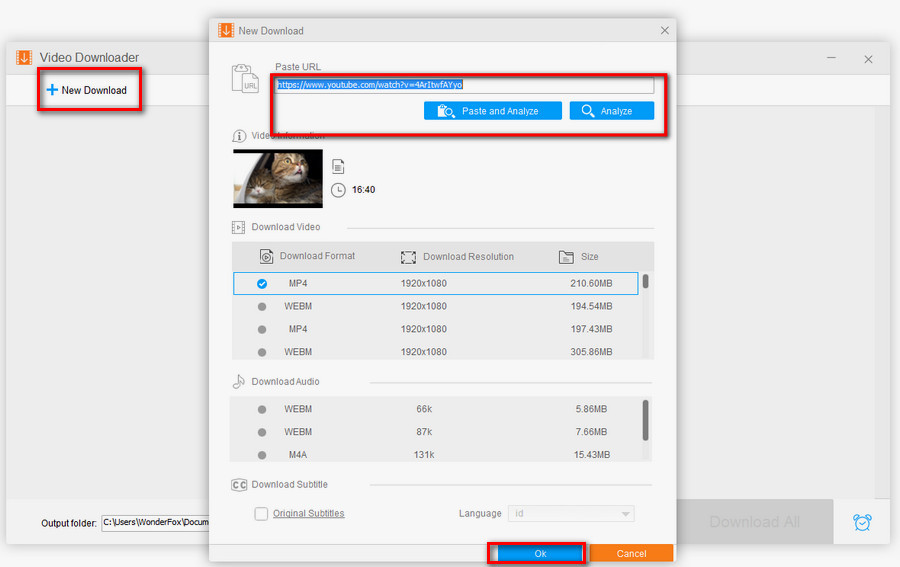 Detail Youtube Image Downloader Nomer 40