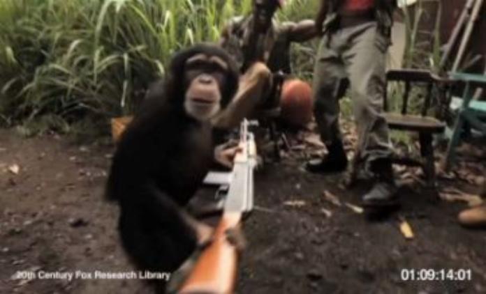 Download Youtube Monkey With Ak47 Nomer 6