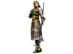 Detail Yue Ying Dynasty Warriors 8 Nomer 43