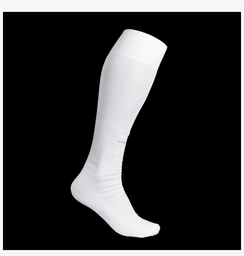 Detail Sock Transparent Nomer 44