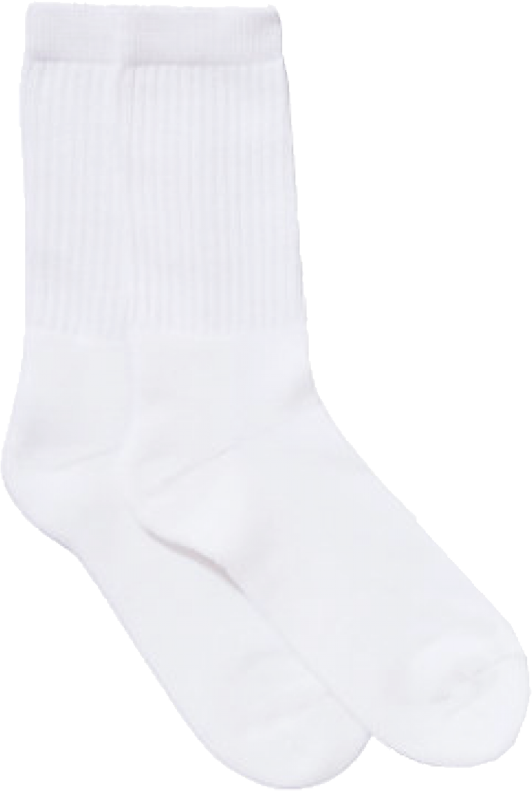 Detail Sock Transparent Nomer 54