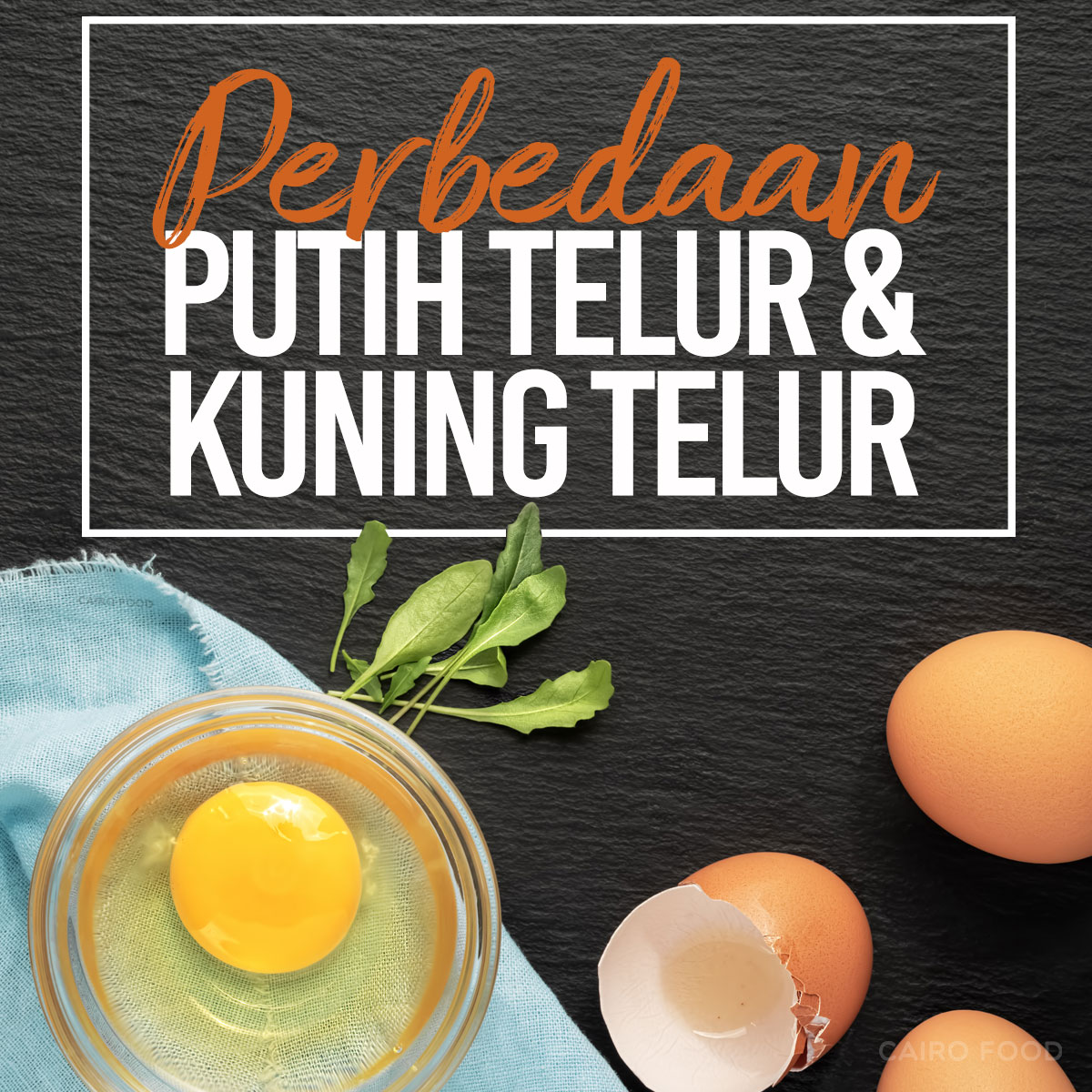 Detail Zat Putih Telur Nomer 25