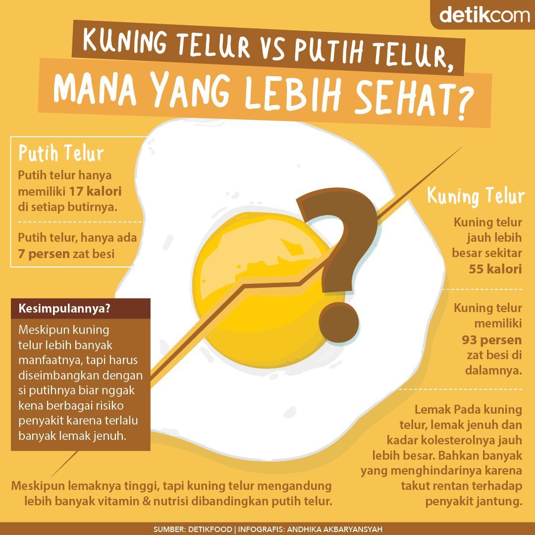 Detail Zat Putih Telur Nomer 31