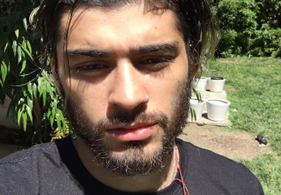 Detail Zayn Malik Bald Nomer 39