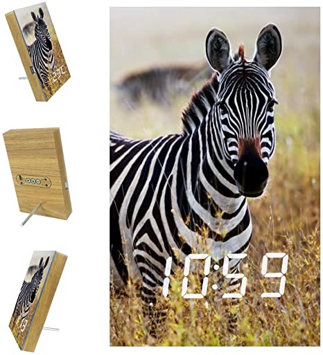 Detail Zebra Alarm Clock Nomer 2