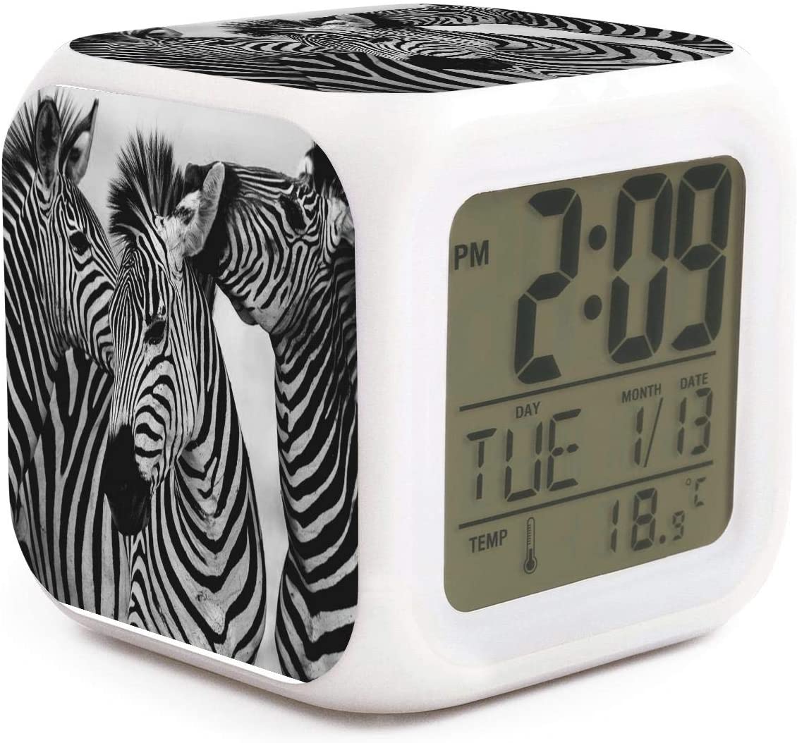 Detail Zebra Alarm Clock Nomer 12