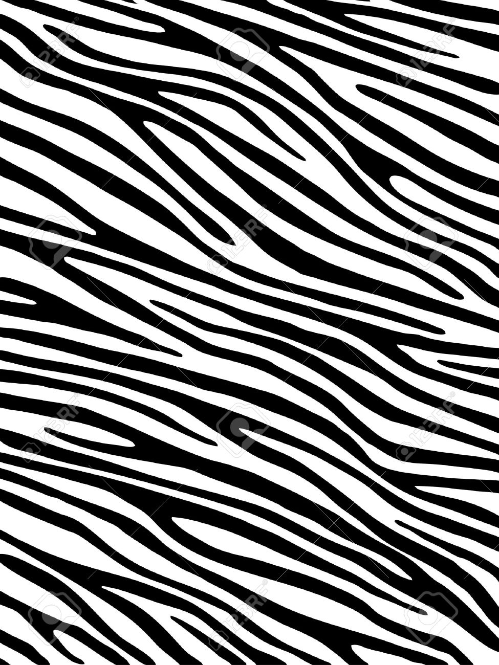 Zebra Background - KibrisPDR