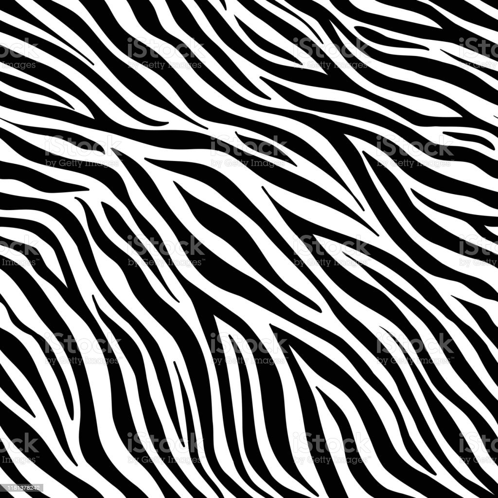 Detail Zebra Background Nomer 11