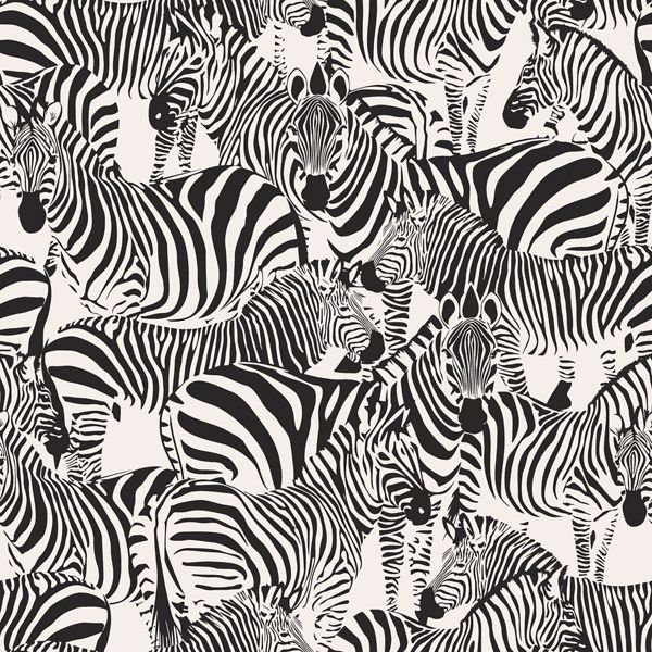 Detail Zebra Background Nomer 13