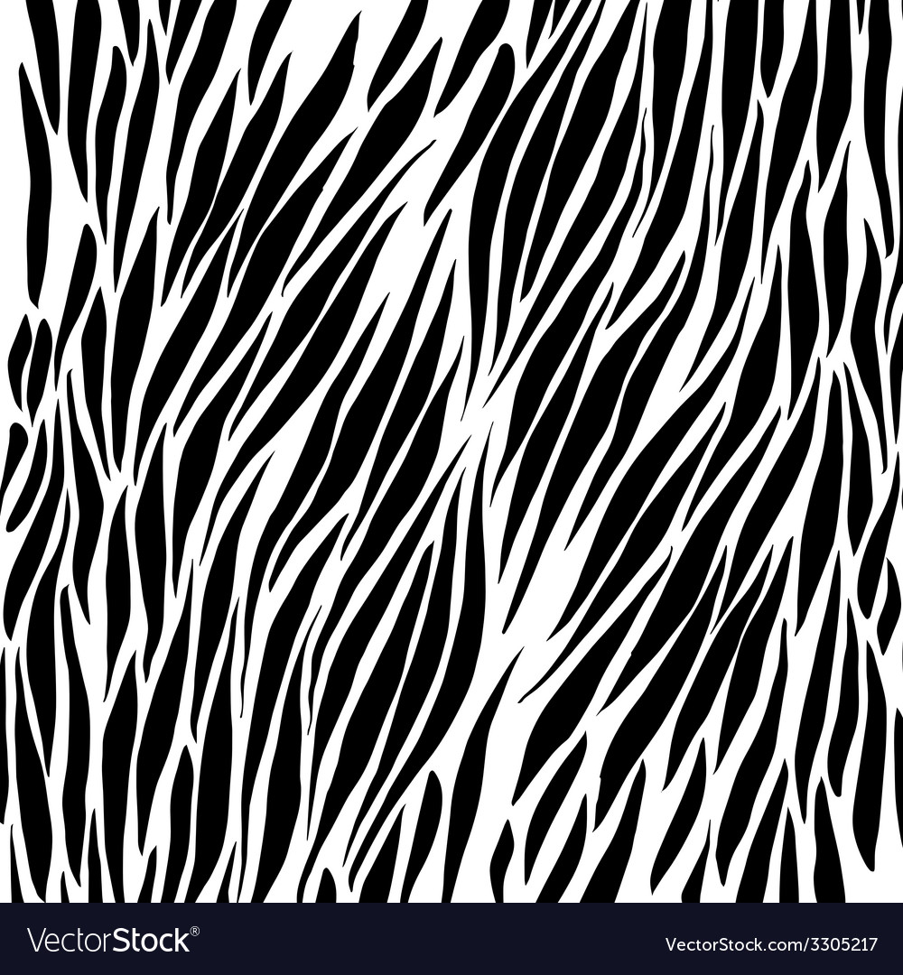 Detail Zebra Background Nomer 16