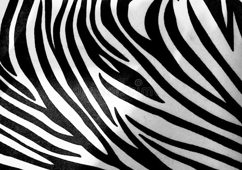 Detail Zebra Background Nomer 23