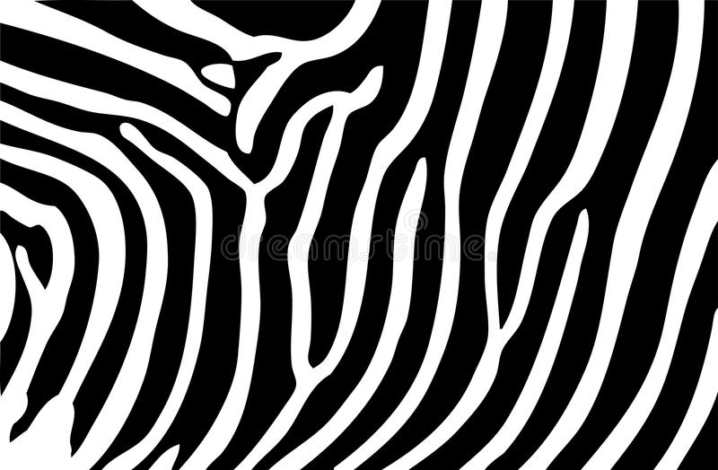 Detail Zebra Background Nomer 28