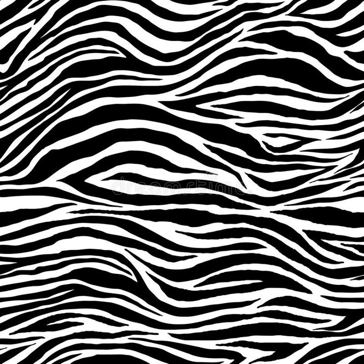 Detail Zebra Background Nomer 30