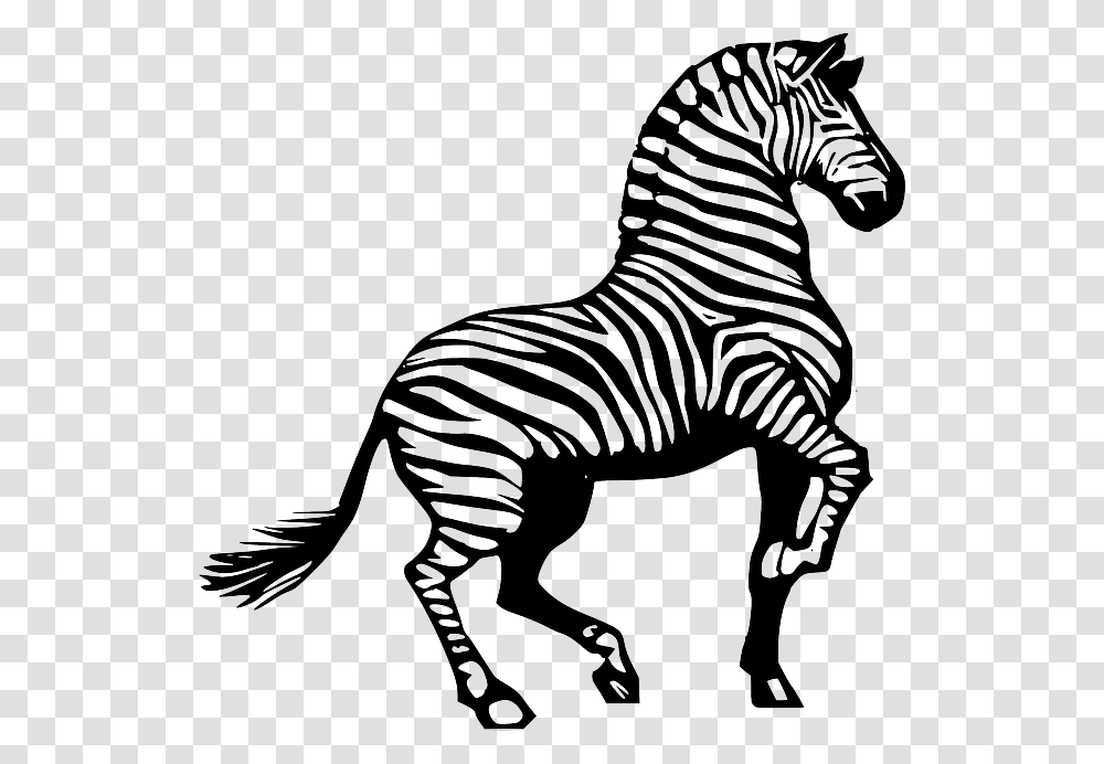 Detail Zebra Black And White Clipart Nomer 25