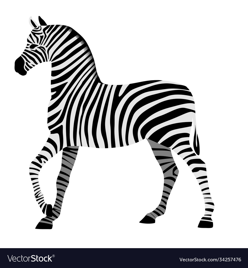 Detail Zebra Black And White Clipart Nomer 28